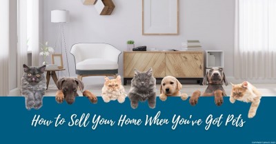 A Pet Lover’s Guide to Selling a Home