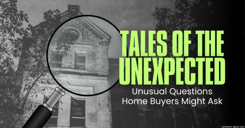 Tales of the Unexpected: Unusual Questions Medway Home Buyers Might Ask 