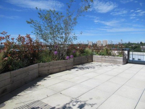 View Full Details for Springwell Gardens, Leeds, West Yorkshire LS12 1FH