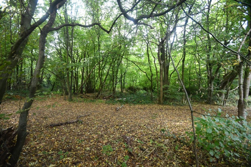 Images for Orbit Close, Walderslade, Chatham, Kent