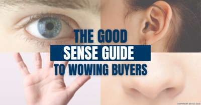 The Good Sense Guide to Selling Your Medway Home 