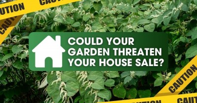 Could Your Garden Threaten Your House Sale?