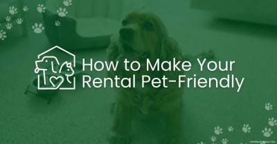 How to Be a Pet-Friendly Landlord 