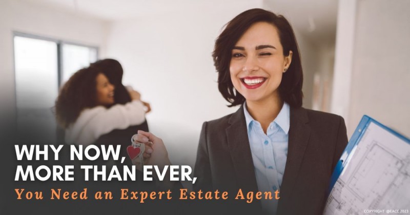 Why Now, More Than Ever, You Need an Expert Estate Agent