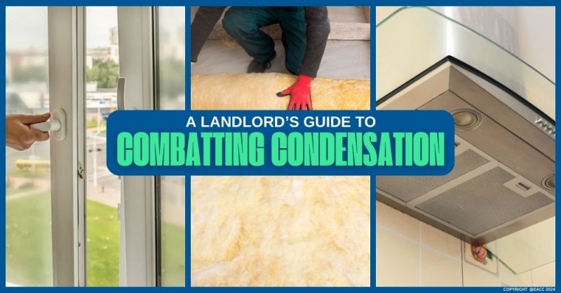 How to Prevent Condensation - A Landlord's Guide