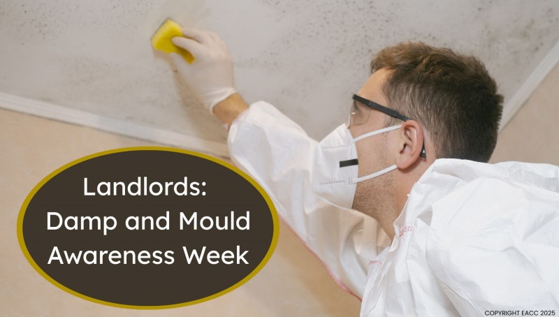 Protecting Your Property and Tenants: Damp and Mould Awareness Week